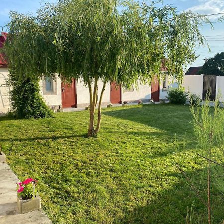 Casa David Lejlighed Corbu Eksteriør billede