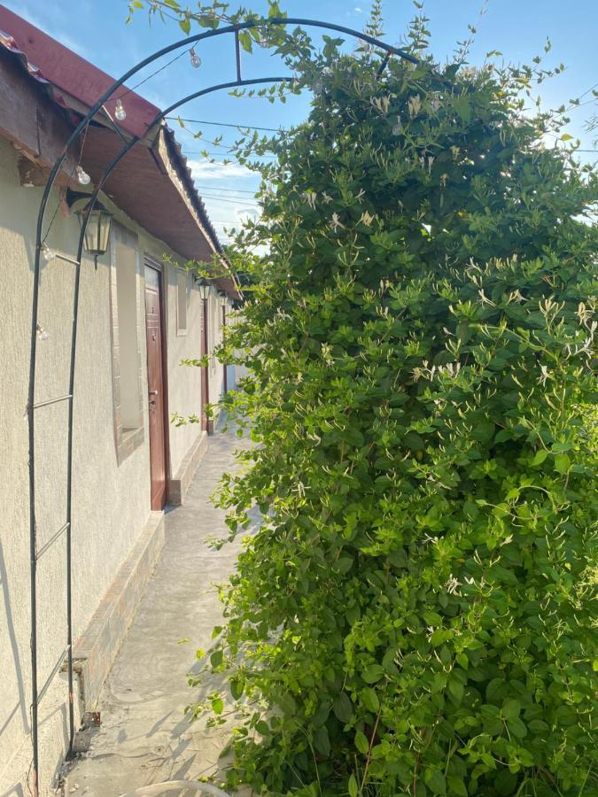 Casa David Lejlighed Corbu Eksteriør billede