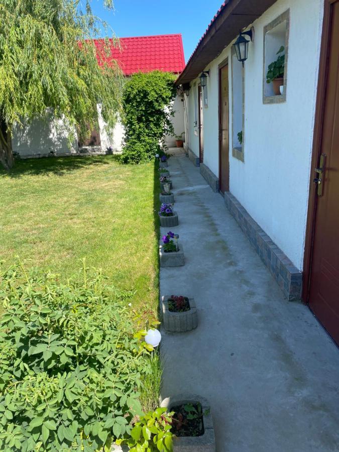 Casa David Lejlighed Corbu Eksteriør billede